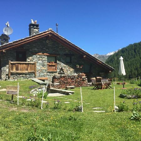 Chalet Gorret Cheneil Valtournenche Esterno foto